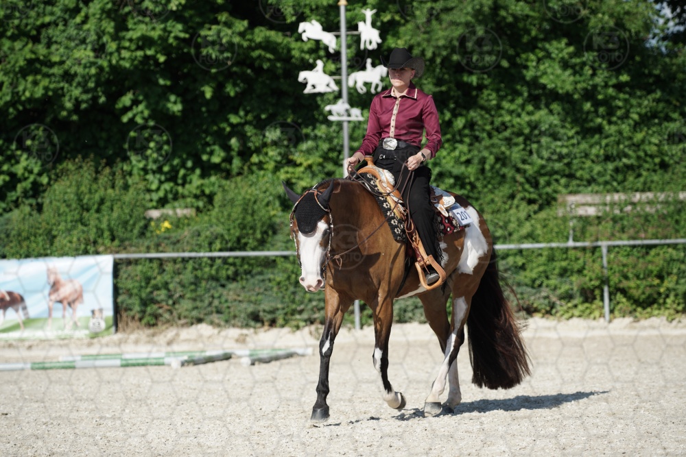 s_APF06874.jpg